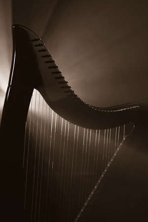 Electro harp in the rays of lightの写真素材