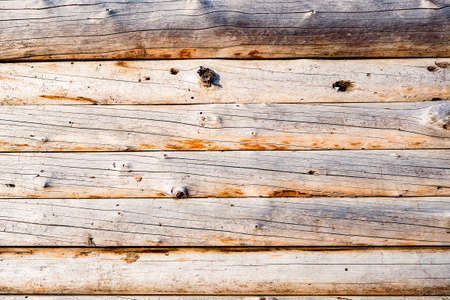 Wooden texture for create differents backgroundsの写真素材