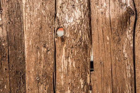 Wooden texture for create differents backgroundsの写真素材