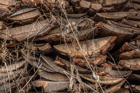 Wooden texture for create differents backgroundsの写真素材