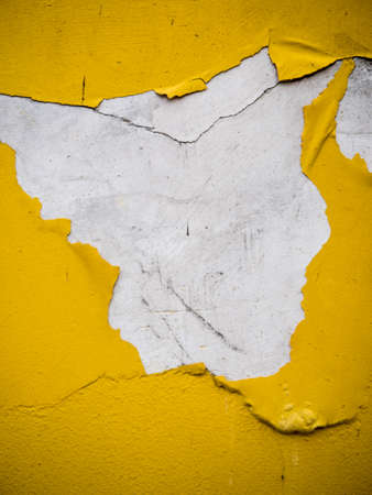 Grunge concrete texture, for backgroundsの写真素材