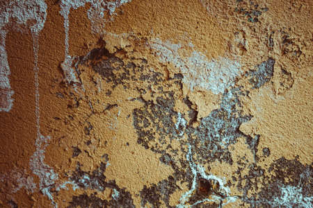 Grunge concrete texture, for backgroundsの写真素材