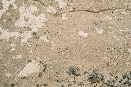 Grunge concrete texture, for backgroundsの写真素材