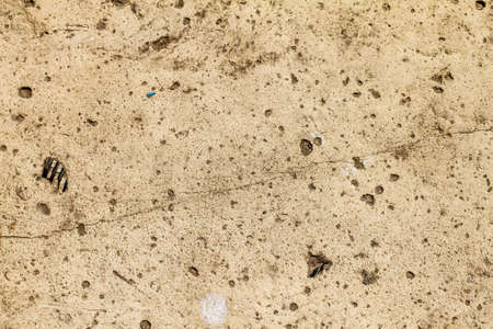 Grunge concrete texture, for backgroundsの写真素材