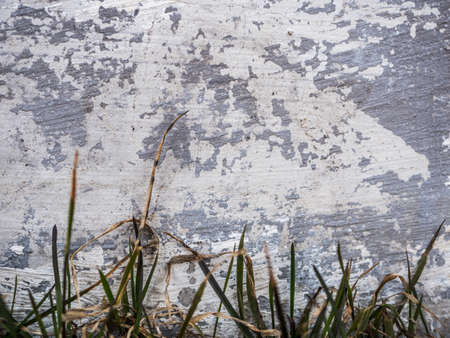 Grunge concrete texture, for backgroundsの写真素材