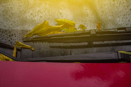 Red car on the last autumn dayの写真素材