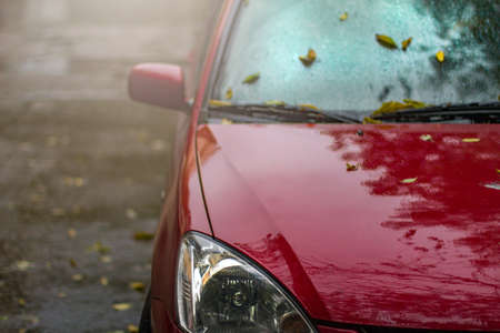 Red car on the last autumn dayの写真素材