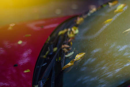 Red car on the last autumn dayの写真素材