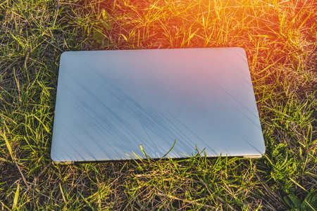 Laptop lying in the grass on a sunny summer day