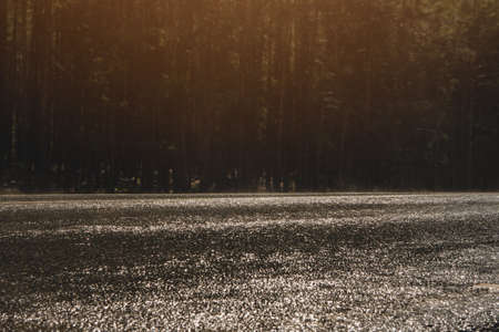 Raw road during the rain on a summer dayの写真素材