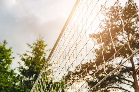 Mesh for beach volleyball on a sunny summer dayの写真素材