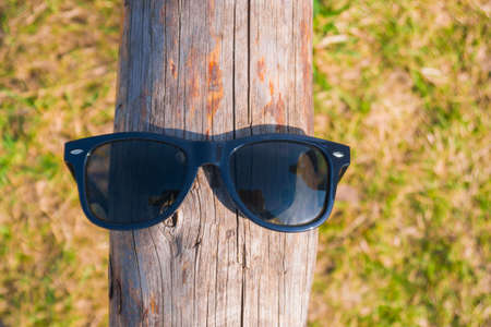 Sunglasses on a wooden log, a summer sunny dayの写真素材