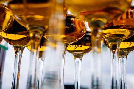 Dear Scotch whiskey in branded glasses on a high leg. Presentation of new whiskeys
