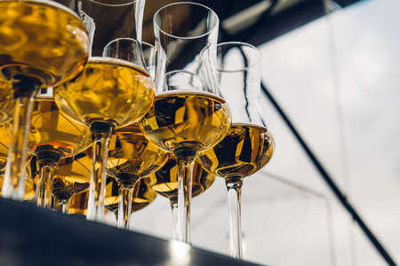 Dear Scotch whiskey in branded glasses on a high leg. Presentation of new whiskeys