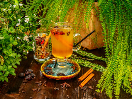 Hot mulled wine in a glass goblet with cinnamon sticks. Vegetation around.の写真素材
