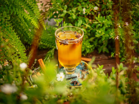 Hot mulled wine in a glass goblet with cinnamon sticks. Vegetation around.