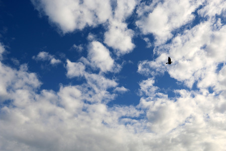 Blue sky background with cloudsの写真素材