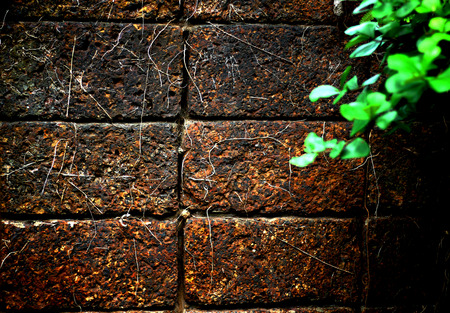 brick wall backgroundの写真素材
