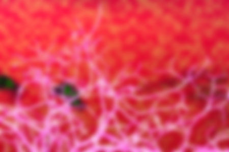 blurred light backgroundの写真素材