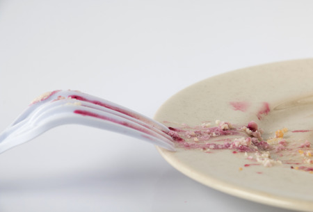 empty dish after food (blueberry cheesecake)
