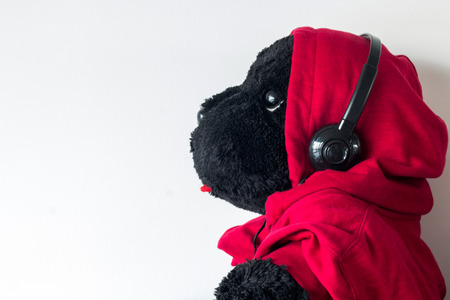 black dog doll in headphonesの写真素材
