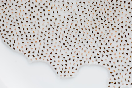 chia seeds isolated on white