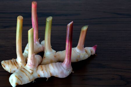 galangals