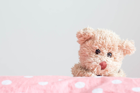 Teddy bear on polka dot fabric ,in pastel styleの写真素材