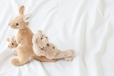 Teddy bear is lying on kangaroos with happy vacation (good feeling)の写真素材