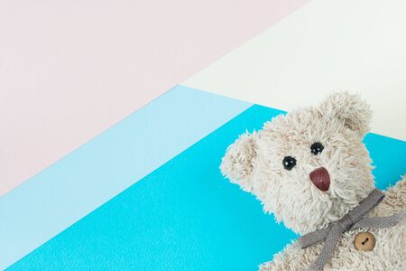Teddy bear on pastel backgroundの写真素材
