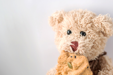 Teddy bear is eating cookie with feeling happy modeの写真素材