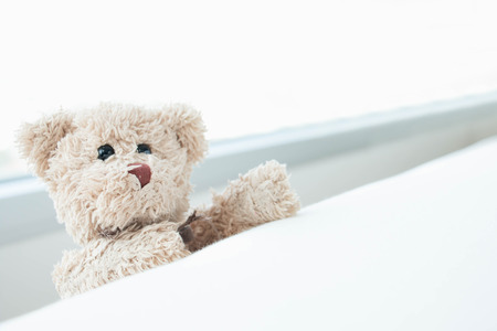 Cute teddy bear looking out of the window ,Teddy bear feeling lonelyの写真素材