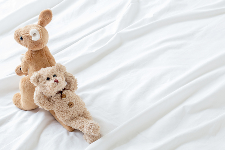 Teddy bear and kangaroo is lying down on white fabric  with feeling relax and happyの写真素材