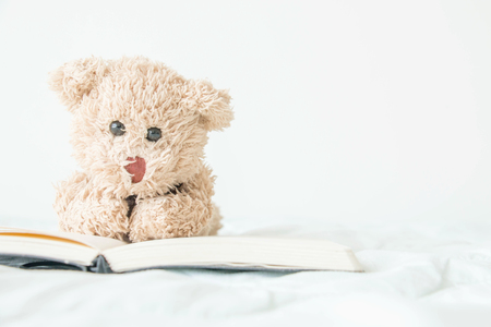 The teddy bear with books that is he would like to read for examの写真素材