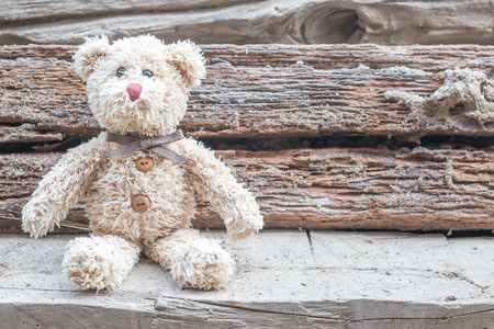 Teddy bear in the parkの写真素材