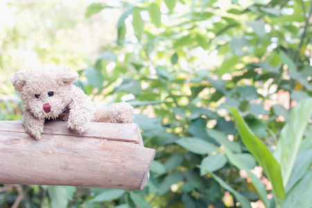 bear doll in the parkの写真素材