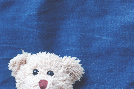Teddy bear on blue fabric background