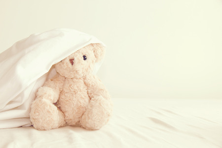 Teddy bear playful in white blanket,Teddy bear play hide and seek with best friend have fun  in the morning ,My doll is cute teddy bear ,Vintage styleの写真素材