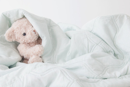 Teddy bear is playful in green blanket,Teddy bear play hide and seek with best friend have fun  in the morningの写真素材