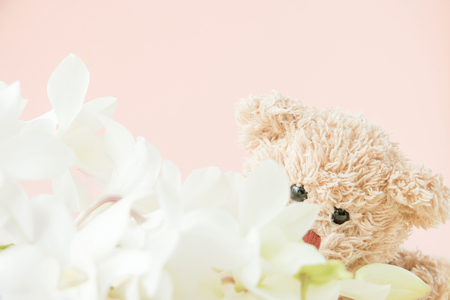 Cute teddy bear smelling flowers on pastel backgroundの写真素材