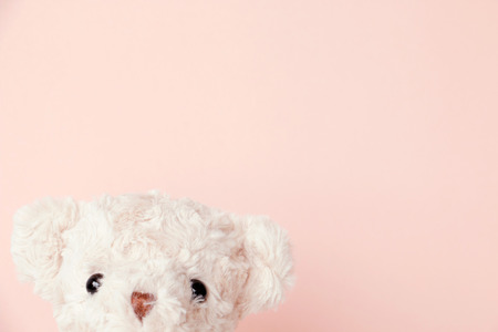 Teddy bear on paper pastel background ,Cute teddy bearの写真素材