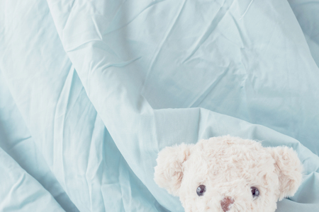 Teddy bear playful in blanket,My doll is cute teddy bearの写真素材