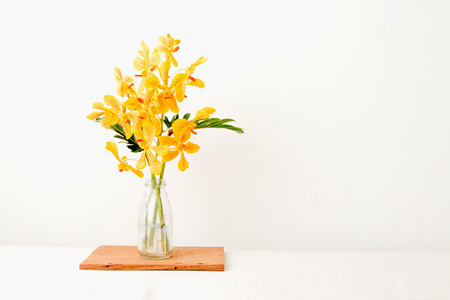Yellow orchid flower in vase ,selective focus.の写真素材