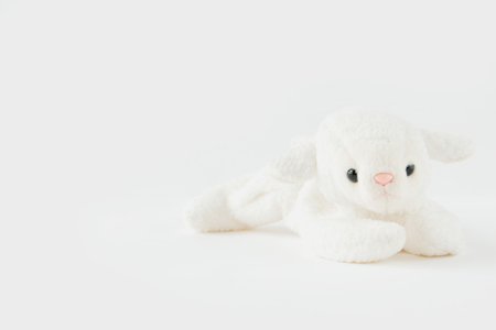 Cute little goat lay down on the bedの写真素材