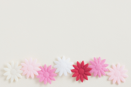 Pastel flower on white color paper backgroundの写真素材