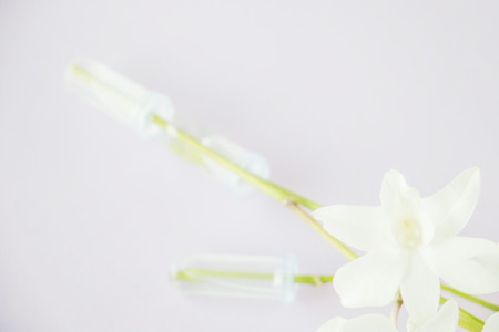 White orchid on pastel color background,Soft and blurry focus photo