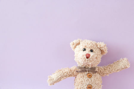 Portrait of an attractive happy teddy bear smilingの写真素材
