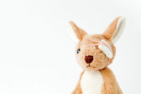 Kangaroo is playful and got accident so he applying medical and injured eyes using  bandage.の写真素材