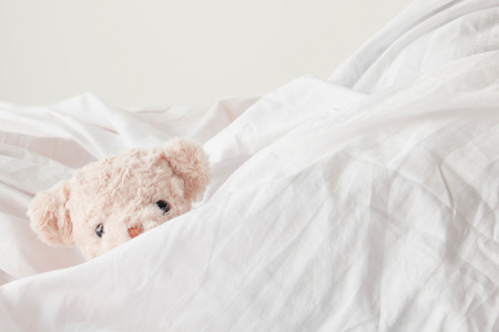 Cute teddy bear play hide and seek with fabric ,Happy feel concept.の写真素材