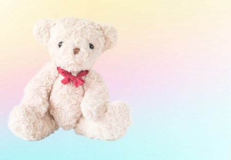 Cute teddy bear on pastel color backgroundの写真素材